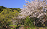 川原自然公園