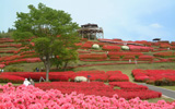 椎八重公園